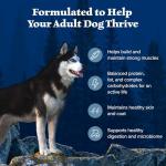 Blue Buffalo Wilderness Adult High-Protein Dry Dog Food with Real Chicken, Grain-Free, Made in the USA with Natural Ingredients, Chicken, 4.5-lb Bag