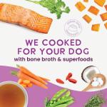 Health Extension Gently Cooked Grain-Free Salmon Dog Food, Human-Grade & Shelf-Stable with Superfoods, Supports Digestion, Immunity, Skin & Coat, 9 oz Pouch (Pack of 1)