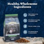 Blue Buffalo Wilderness Adult High-Protein Dry Dog Food with Real Chicken, Grain-Free, Made in the USA with Natural Ingredients, Chicken, 4.5-lb Bag
