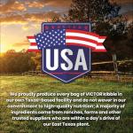 VICTOR Super Premium Dog Food — Sensitive Skin and Stomach — Beef Meal & Brown Rice Recipe Dry Kibble — Gluten Free, No Chicken, Ideal for Dogs with Allergies — Adult and Puppy Food, 5 lb