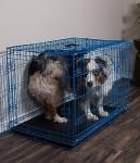 Internet's Best Wire Dog Kennel | Medium (36 Inches) | Double Door Metal Steel Crates | Indoor Outdoor Pet Home | Folding and Collapsible Cage | Blue