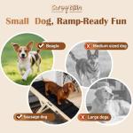 2026 Upgraded Dog Ramp for Couch - Foldable Small Dog Ramp for Bed - 4 Adjustable Height from 12" to 20" - Portable Pet Stairs with Non-Slip Pad - Pet Ramps Use for Low Bed Couch Steps Up to 60LBS