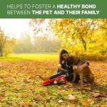 SPOT Launch & Fetch Tennis Ball Launcher Dog Toy | Interactive Dog Fetch Toy Launches Up to 65 Feet | Hands-Free Pickup | Includes 2 Tennis Balls & Removable Shoulder Strap | 24"