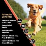 VICTOR Super Premium Dog Food — Sensitive Skin and Stomach — Salmon Meal & Brown Rice Recipe Dry Kibble — Gluten Free, No Chicken, Ideal for Dogs with Allergies — Adult and Puppy Food, 5 lb