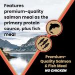 VICTOR Super Premium Dog Food — Sensitive Skin and Stomach — Salmon Meal & Brown Rice Recipe Dry Kibble — Gluten Free, No Chicken, Ideal for Dogs with Allergies — Adult and Puppy Food, 5 lb