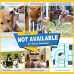 Xteamo Effective Anti Barking Deterrent - 3 Adjustable Levels Bark Control Device, 50FT Waterproof Outdoor Tool for Small/Medium/Large Dogs