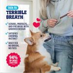 Dental Fresh Dental Treats for XS Dogs, Vet-Formulated Teeth Cleaning Dental Sticks to Help Reduce Plaque and Tartar and Freshen Breath, 64 Count Brush Free Dental Chews for Dogs up to 10 lbs