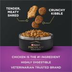 Purina Pro Plan AdvantEDGE Senior Support Plus Shredded Blend Chicken and Rice Formula Dry Dog Food - 3.5 lb. Bag
