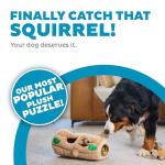 Outward Hound Hide A Squirrel Puzzle Toy, XL