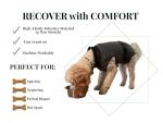 Dog Recovery Suit After Surgery – Generous Fit (See Size Guide) – Surgery Suit for Female Spay & Male Neuter with Washable Pads, Cone Alternative Body Suit for Comfortable Healing, XX-Large, Grey