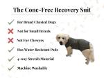 Dog Recovery Suit After Surgery – Generous Fit (See Size Guide) – Surgery Suit for Female Spay & Male Neuter with Washable Pads, Cone Alternative Body Suit for Comfortable Healing, XX-Large, Grey