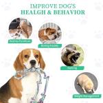 AmaCielo Dog Rope Toys for Large/Medium Aggressive Chewers, Tough Cotton Chew Toy, 3 Feet 5 Knots Indestructible, Tug of War Dog Pull Rope Teeth Cleaning (5 knot-19.5In)