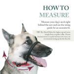 Sporn Head Halter for Dogs, No Pull Dog Harness, Durable Nylon Training Collar for Large Breeds, No Choke Design, Padded Restraints, Adjustable Fit, Easy On/Off, Black, Large