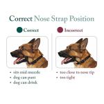 Sporn Head Halter for Dogs, No Pull Dog Harness, Durable Nylon Training Collar for Large Breeds, No Choke Design, Padded Restraints, Adjustable Fit, Easy On/Off, Black, Large