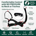 Sporn Head Halter for Dogs, No Pull Dog Harness, Durable Nylon Training Collar for Large Breeds, No Choke Design, Padded Restraints, Adjustable Fit, Easy On/Off, Black, Large