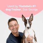 Pupford Freeze Dried Training Treats for Dogs & Puppies, 225+ Two Ingredient Bites (Chicken, 2 oz)