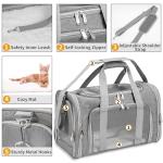 Soft-Sided Cat/Dog/Pet Carrier, Collapsible Pets Travel Carriers for Big Cats/Small Dogs with Shoulder Strap & Removable Mat, Mesh Puppy Carry Bag, Up to 16 Lbs, TSA Airline Approved(Gray)