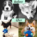 CIIVURR Snuffle Ball for Dog Toys Unbreakable Upgrade Ball Interactive Toy Foraging Snuffle Mat Puppy Treat Dispenser Slow Feeder Dog Puzzle Toys for Small, Medium, Large Pets (Blue)