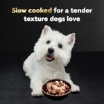 Cesar Wet Dog Food Classic Loaf in Sauce, Breakfast and Dinner with Grilled Steak & Eggs Flavor, and Chicken & Liver Flavor, 3.5 oz. Easy Peel Trays, Variety Pack, 24 Count