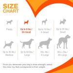 Nylabone Moderate Chew Flexi Chew Bone Peanut Butter & Bacon XX-Small/Tiny (2 Count)