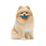 Nylabone Moderate Chew Flexi Chew Bone Peanut Butter & Bacon XX-Small/Tiny (2 Count)