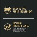 Purina Pro Plan Senior Dog Food, 7 Plus Shredded Blend Beef and Rice Formula Dry Dog Food, 18 lb. Bag