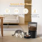 PETSDA Automatic Cat Feeders, 4L Timed Cat Dry Food Dispenser Auto Pet Feeder for Cats and Small Dogs Dual Power Supply 9 Meals Programmable 1-15 Portion Per Day with Stainless Bowl Easy Clean
