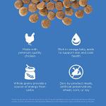 Go! Solutions Skin + Coat Care Chicken Dry Dog Food with Grains, Healthy Kibble with Omega-3s & 6s for Soft, Shiny Fur, for Puppies, Adults, & Seniors, 22 lb Bag