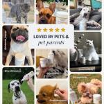 Veterinary Formula Clinical Care Ear Therapy, 4 oz. – Cat and Dog Ear Cleaner to Help Soothe Itchiness and Cleans The Ear Canal from Debris and Buildup That May Cause Infection