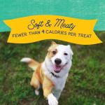 Natural Balance Limited Ingredient Mini-Rewards Chicken Grain-Free, Training Treats for Dogs | 5.3-oz. Canister