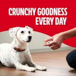 Milk-Bone MaroSnacks Small Dog Treats with Real Bone Marrow, 40 Oz. Canister