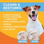 Paw Science Skin & Wound Care Spray for Dogs & Cats – Lick-Safe Antiseptic Healing Aid, Itch Relief & Skin Repair Treatment for Hot Spots, Rashes, Cuts, Burns, & Irritation
