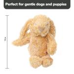 SPOT Cuddle Bunnies Plush Dog Toy with Squeaker