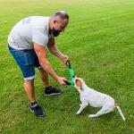 Bull Fit K9 Dog Bite Tug Toy with 2 Strong Handles - Made of Durable & Tear-Resistant French Linen - Perfect for Tug of War, Fetch & Puppy Training - Ideal for Medium to Large Breeds