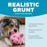 Outward Hound Fattiez Pig Plush Dog Toy