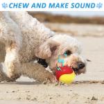 6Pcs Squeaky Dog Balls, Dog Toys Balls for Training, Tough Ball Toys for Dogs, Fit with Dog Ball Launcher, High Bouncy Dog Ball for Interactive Playing, Puppy Pet Chew Balls Teething Balls 2.5in