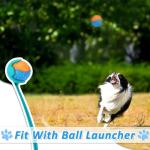 6Pcs Squeaky Dog Balls, Dog Toys Balls for Training, Tough Ball Toys for Dogs, Fit with Dog Ball Launcher, High Bouncy Dog Ball for Interactive Playing, Puppy Pet Chew Balls Teething Balls 2.5in