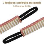 Striped Dog Tug Toy for Training and Play