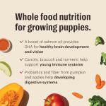 The Honest Kitchen Human Grade Dry Dog Food, Whole Food Clusters Puppy Whole Grain Dry Dog Food,Chicken, 4 lb Bag