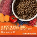 Taste of the Wild High Prairie Grain-Free Dry Dog Food with Roasted Bison and Venison for Puppies 28lb