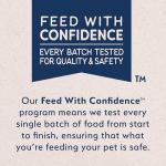 Natural Balance Limited Ingredient Adult Grain-Free Wet Canned Dog Food, Sweet Potato & Salmon Recipe, 13 Ounce (Case of 6)