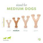 Benebone Wishbone Durable Dog Chew Toy for Aggressive Chewers, Real Chicken, Made in USA, Medium, for All Breed Sizes