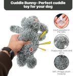 SPOT Cuddle Bunnies Plush Dog Toy with Squeaker