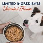 Natural Balance Limited Ingredient Adult Grain-Free Wet Canned Dog Food, Sweet Potato & Salmon Recipe, 13 Ounce (Case of 6)