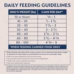 Natural Balance Limited Ingredient Adult Grain-Free Wet Canned Dog Food, Sweet Potato & Salmon Recipe, 13 Ounce (Case of 6)