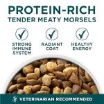 Purina ONE Plus Puppy Dry Dog Food for Large Dogs High Protein Growth Support, Real Chicken - 31.1 lb Bag