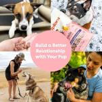 Pupford Freeze Dried Training Treats for Dogs & Puppies, 215+ Four Ingredient Bites (Turkey & Veggies, 3 oz)