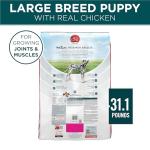 Purina ONE Plus Puppy Dry Dog Food for Large Dogs High Protein Growth Support, Real Chicken - 31.1 lb Bag