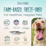 Otis & Pearly Freeze Dried Minnows Dog Treats, 2oz - Single Ingredient Dog Treat, Made in USA - Healthy Protein for Small, Medium, Large Breeds