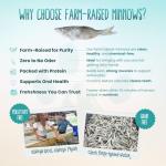 Otis & Pearly Freeze Dried Minnows Dog Treats, 2oz - Single Ingredient Dog Treat, Made in USA - Healthy Protein for Small, Medium, Large Breeds